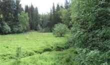 1459 E END Road Homer, AK 99603