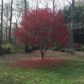 406 Creek Valley Drive, Woodstock, GA 30188 ID:13842544