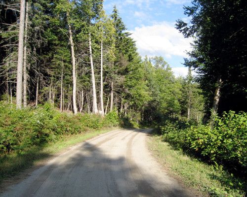 0 Black Fly Lane, West Burke, VT 05871