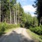 0 Black Fly Lane, West Burke, VT 05871 ID:13821429