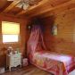 201 Old Mill Road, White, GA 30184 ID:13658518