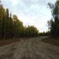 L15 E Snowy Pass Circle, Wasilla, AK 99654 ID:13776254