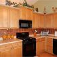 1353 Prospect View Court, Lawrenceville, GA 30043 ID:13471166