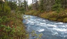 L6B2 River Circle Eagle River, AK 99577