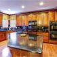 327 Collins Glen Court, Lawrenceville, GA 30043 ID:13877431