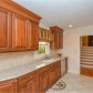 2447 Caladium Drive, Atlanta, GA 30345 ID:13905302