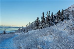 TR 3 Steamboat Drive, Anchorage, AK 99516