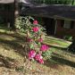 3873 Samaria Court, Tucker, GA 30084 ID:13879439