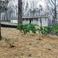 292 Burt Road, Dallas, GA 30132 ID:13847122