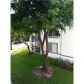 4440 NW 107 AV # 202-7, Miami, FL 33178 ID:13361532