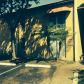 4521 TREEHOUSE LN # 6F, Fort Lauderdale, FL 33319 ID:13680493