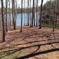 10 Waterfront Drive, Dawsonville, GA 30534 ID:13932569