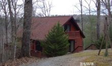 241 Fleur Lane Ellijay, GA 30540