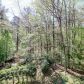 604 Victoria Downs Court, Woodstock, GA 30189 ID:14091394