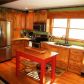 15 River View Trail E, Dahlonega, GA 30533 ID:14099300