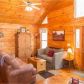 56 Olaf Court, Ellijay, GA 30540 ID:13989897