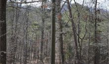 30 Sun Mountain Spur Chatsworth, GA 30705