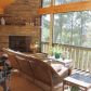 585 Big Timber Road, Mineral Bluff, GA 30559 ID:13993999