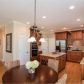 1869 Severview Place, Lawrenceville, GA 30043 ID:14378745