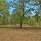 465 New Liberty Estates Road, Clarkesville, GA 30523 ID:14101426