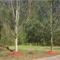 295 Harmony Lake Drive, Canton, GA 30115 ID:14422373