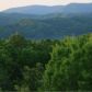 320 Foxfire Road, Blue Ridge, GA 30513 ID:14404090