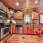 1514 Newport Drive, Ellijay, GA 30540 ID:14435122