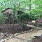 54 Bob O Link Drive, White, GA 30184 ID:14388561