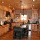 270 Farmer Circle, Mineral Bluff, GA 30559 ID:14434045