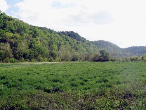 0 Jennings Creek Hwy, Whitleyville, TN 38588