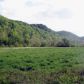 0 Jennings Creek Hwy, Whitleyville, TN 38588 ID:14514504