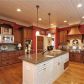 206 White Aster Lane, Jasper, GA 30143 ID:14356407