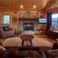 300 Geronimo Road, Blue Ridge, GA 30513 ID:14516453