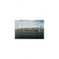 3301 NE 183rd St # 1906, North Miami Beach, FL 33160 ID:14503148