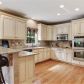 13830 Bethany Oaks Pointe, Alpharetta, GA 30004 ID:14385641