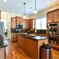 290 Rosemont Park Lane, Marietta, GA 30064 ID:14400279