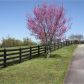 140 Oak Grove Road Nw, Adairsville, GA 30103 ID:14381453