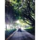 19112 Fisher Island Dr # 19112, Miami Beach, FL 33109 ID:14347560