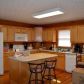 65 Vista Chalet Drive, Ellijay, GA 30540 ID:14374488