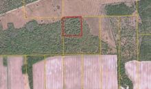 0 CR 90 E Bunnell, FL 32110