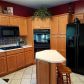 250 Arbor Hills Road S, Talking Rock, GA 30175 ID:14495850