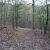 4716 Fred Jennings Rd Walland, TN 37886