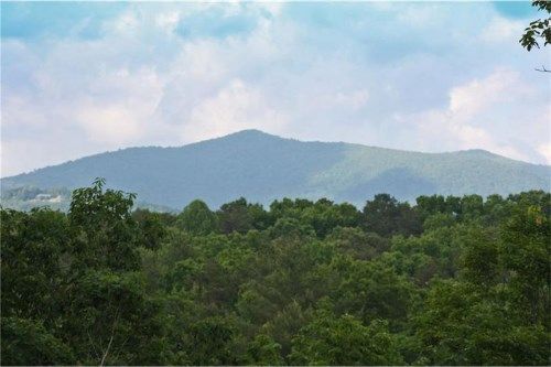 30 Blackberry Circle, Ellijay, GA 30536