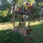 53 Twin Lakes Road, Winder, GA 30680 ID:14464111