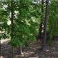 1004 Chestnut Creek Drive, Villa Rica, GA 30180 ID:14413068