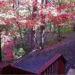 234 Ber Weg, Helen, GA 30545 ID:14341943