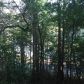 235 Moss Overlook Road, Dawsonville, GA 30534 ID:14373221