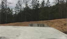 21 Scenic Overlook Acworth, GA 30101