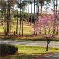 4498 Britt Road, Tucker, GA 30084 ID:14103877