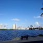 3255 NE 184th St # 12-307, North Miami Beach, FL 33160 ID:14374208